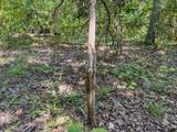 2195 Whiteoak Rd - Photo 45