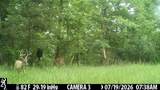2195 Whiteoak Rd - Photo 49