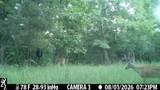 2195 Whiteoak Rd - Photo 50