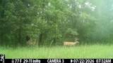 2195 Whiteoak Rd - Photo 51