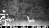 2195 Whiteoak Rd - Photo 52