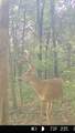 0 Turney Rd - Photo 40