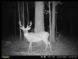 0 Turney Rd - Photo 41