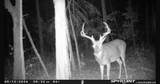 0 Turney Rd - Photo 43