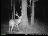 0 Turney Rd - Photo 44