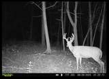 0 Turney Rd - Photo 47