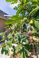 1728 Ichabod Lane - Photo 42