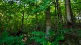 0 Moss Rd - Photo 79
