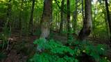 0 Moss Rd - Photo 81