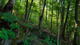 0 Moss Rd - Photo 83
