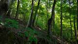 0 Moss Rd - Photo 85