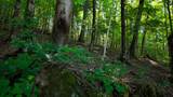 0 Moss Rd - Photo 86