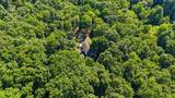 11930 Thatch Rd - Photo 39
