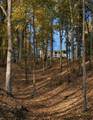 643 Wismer Rd - Photo 11