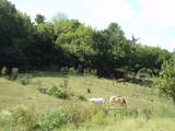 2966 Monte Murrey Rd - Photo 13