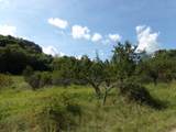 2966 Monte Murrey Rd - Photo 15