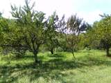 2966 Monte Murrey Rd - Photo 16