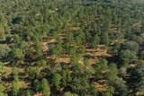 9700 Old Magnolia Road - Photo 17