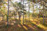 9700 Old Magnolia Road - Photo 23
