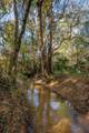 9700 Old Magnolia Road - Photo 55