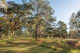 9700 Old Magnolia Road - Photo 77