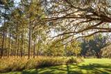 9700 Old Magnolia Road - Photo 82