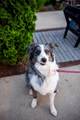 120 Zola Aly - Photo 44