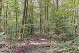 484 Deer Lick Trail - Photo 4