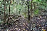 484 Deer Lick Trail - Photo 36