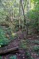 484 Deer Lick Trail - Photo 38