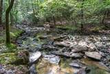 484 Deer Lick Trail - Photo 40