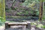 484 Deer Lick Trail - Photo 42