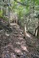 484 Deer Lick Trail - Photo 44