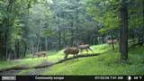 3680 Clark Rd - Photo 5