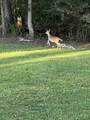 3680 Clark Rd - Photo 49