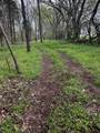 3680 Clark Rd - Photo 51
