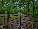 111 Milton Rd - Photo 39