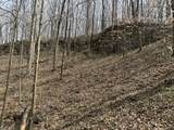 335 Nelson Cemetery Rd - Photo 59
