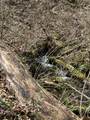 335 Nelson Cemetery Rd - Photo 60