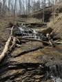 335 Nelson Cemetery Rd - Photo 61