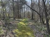 335 Nelson Cemetery Rd - Photo 64