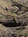 335 Nelson Cemetery Rd - Photo 68