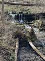 335 Nelson Cemetery Rd - Photo 72