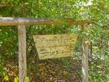 0 Scott Ridge Rd - Photo 24