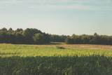 0 New Harmony Road - Photo 9
