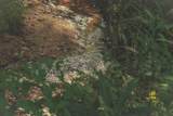 1634 Dixon Branch Rd - Photo 12