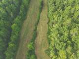 1634 Dixon Branch Rd - Photo 24