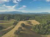 1634 Dixon Branch Rd - Photo 38