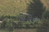 1634 Dixon Branch Rd - Photo 65