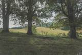 1634 Dixon Branch Rd - Photo 68